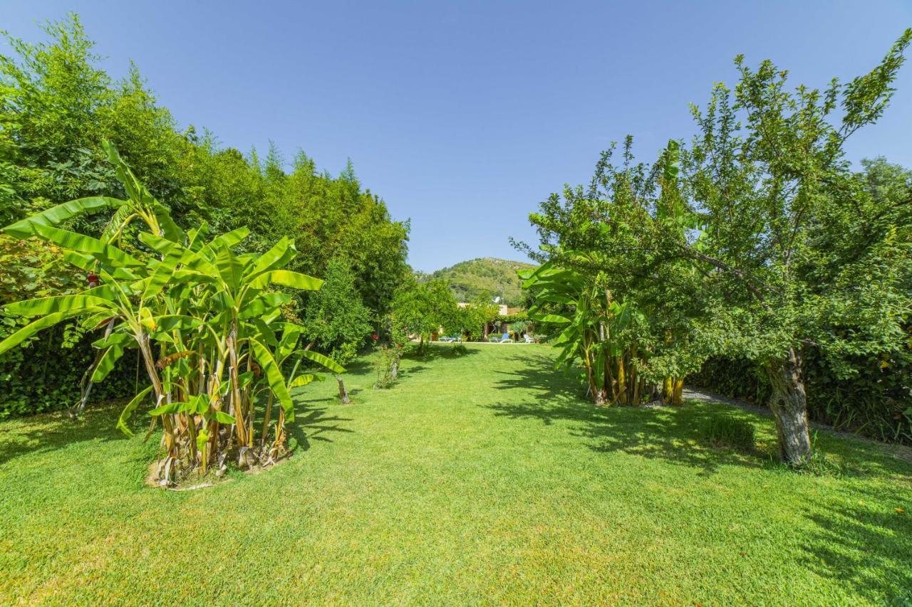 Villa Martin / Son Siurana